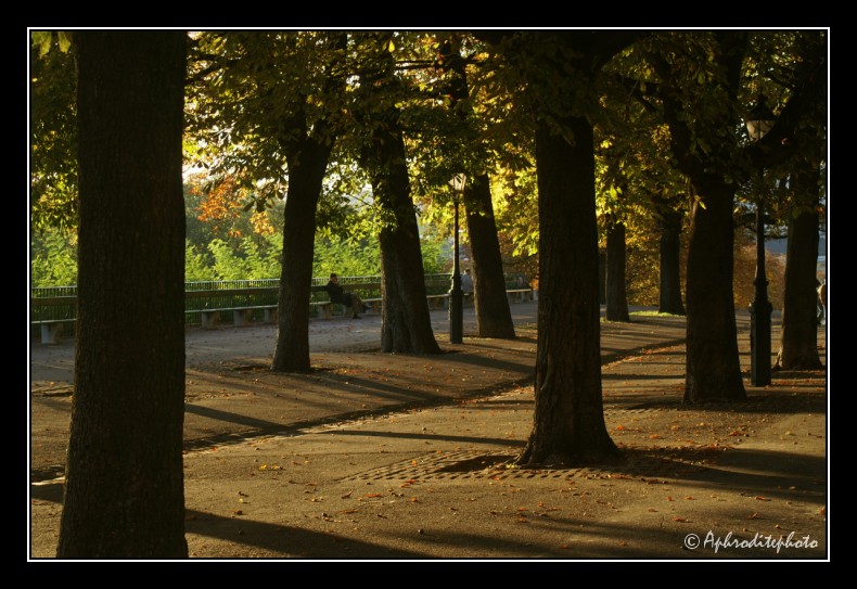 026 La promenade de la Treille dans la vieille ville